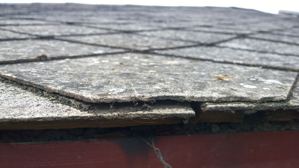 Rimozione e smaltimento amianto Rimozione e smaltimento amianto